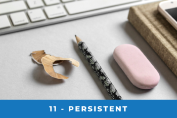 principle11