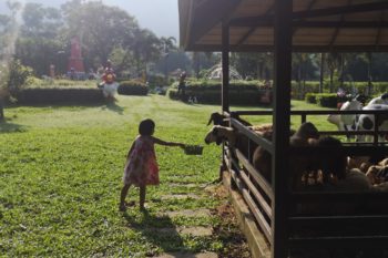 #28 : เคล็ดลับการใช้คำพูดเพื่อสร้างลูกให้เป็นเลิศ.03